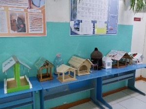 �����������