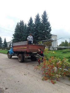 �����������