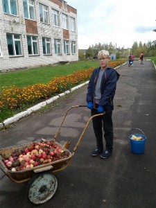 �����������