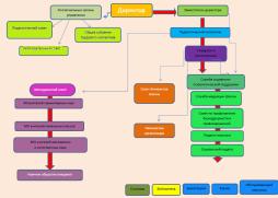 Структура органов управления ОУ